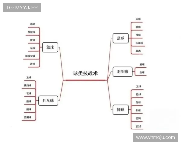 武汉篮球队技术解析:从战术布局到球员配合的全面剖析