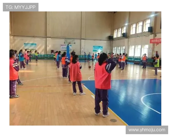 专访赵敏：探寻排球背后的成功秘诀与奋斗故事